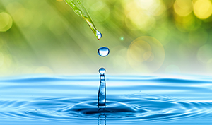 Our Blog post image goes here