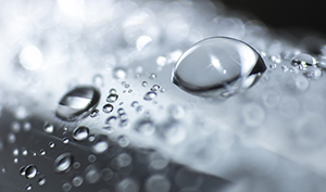 Our Blog post image goes here